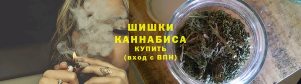 мдпв Богородск