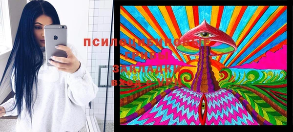 МДМА Белокуриха