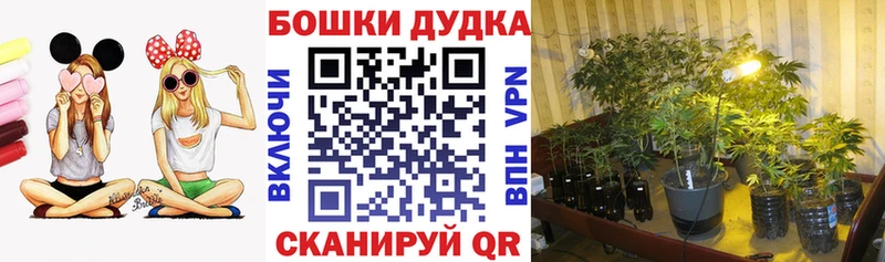 OMG как войти  Кизилюрт  МАРИХУАНА SATIVA & INDICA  где найти наркотики 